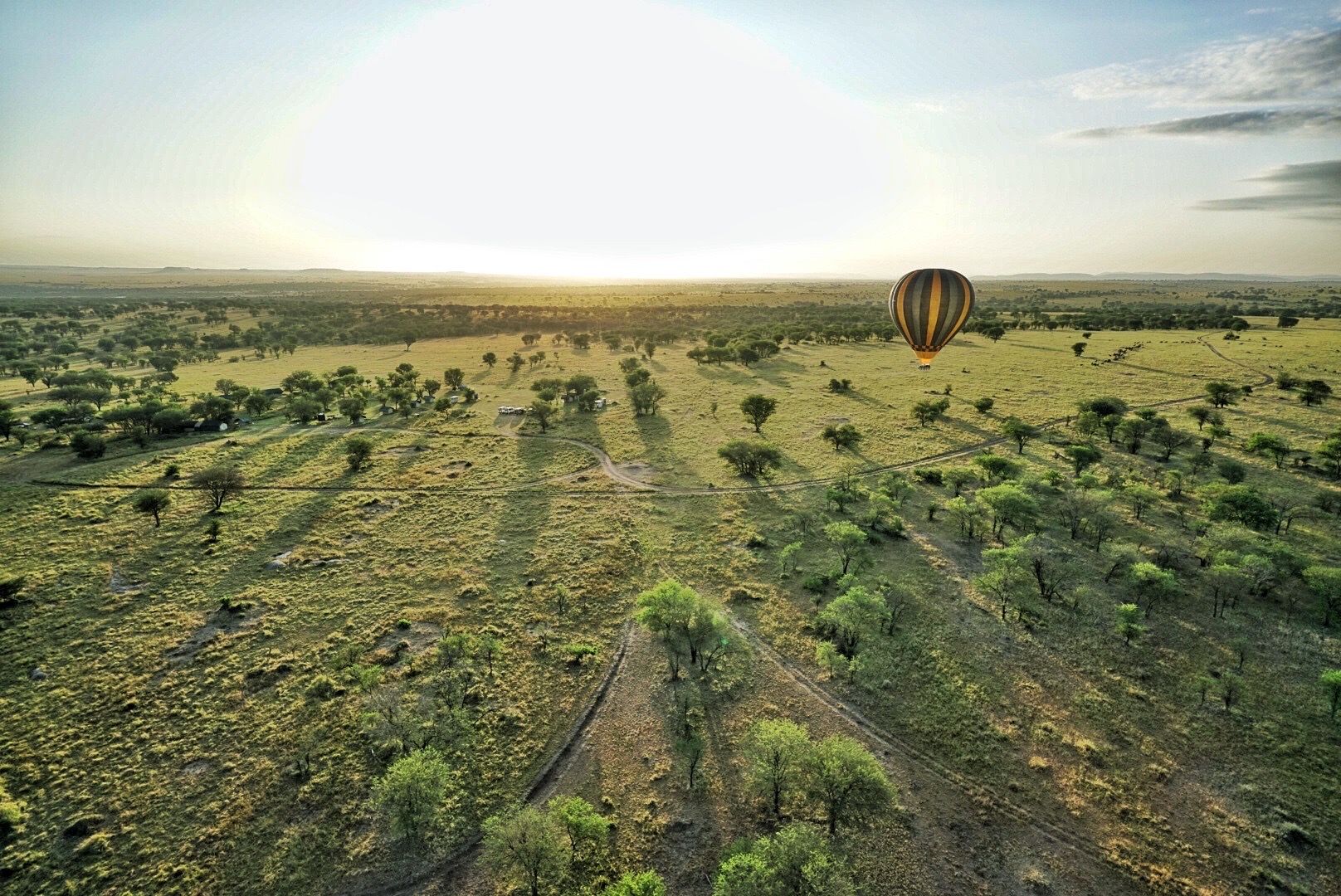 safari-en-montgolfiere-tanzanie