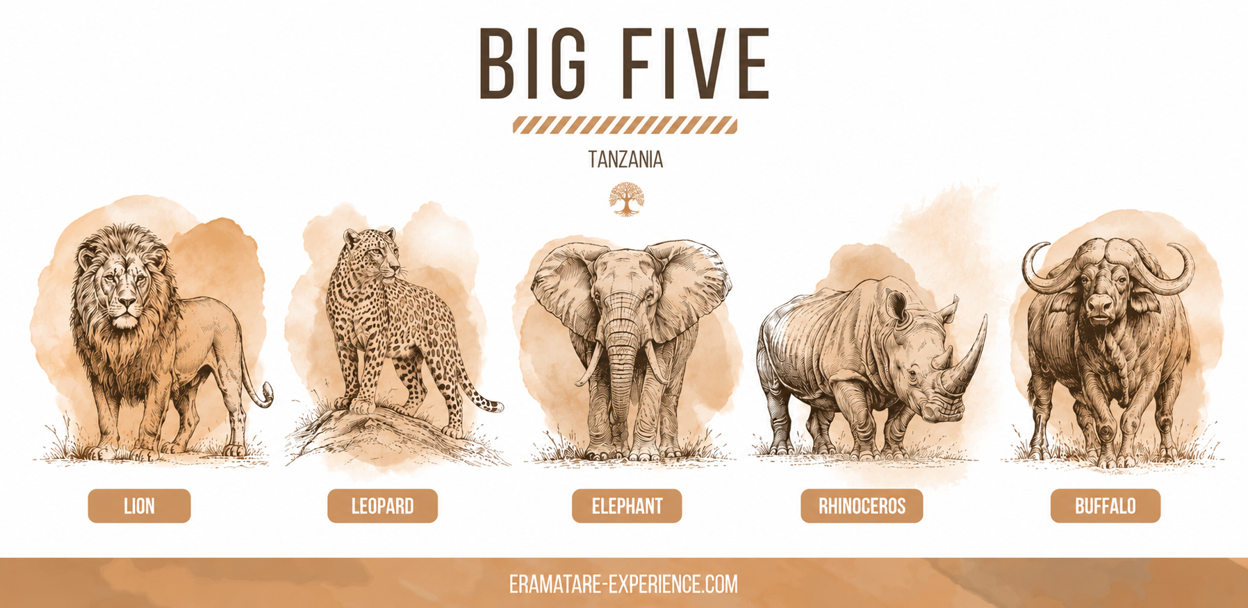big five tanzania